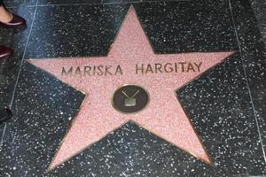 LOS ANGELES, NOV 8 - Mariska Hargitay Star at the Mariska Hargitay Hollywood Walk of Fame Star Ceremony at Hollywood Blvd on November 8, 2013 in Los Angeles, CA photo