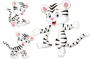 la colección del tigre blanco con pose diferente vector