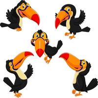 the beautiful collection of orange beak toucan with the different posing vector