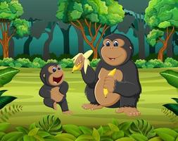 the forest background with two gorilla eating the banana vector