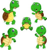 la colección de la tortuga con diferentes poses y tamaños vector