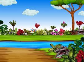 the exotic forest with the river cross it vector