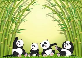 the panda action playing together under the bamboo vector