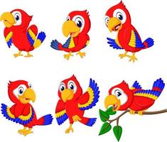 the collection of beautiful red parrots with the different posing vector