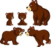 la colección del oso y el oso bebé con diferentes poses vector
