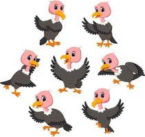the collection of the beautiful baby vulture in different posing vector