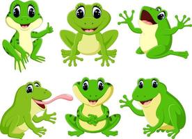 the collection of the pretty green frogs in the different posing vector