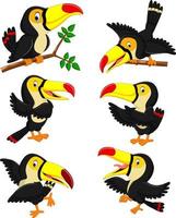 the collection of yellow beak toucan with the different posing vector