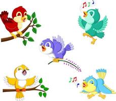 the collection birds with the different color and activities vector