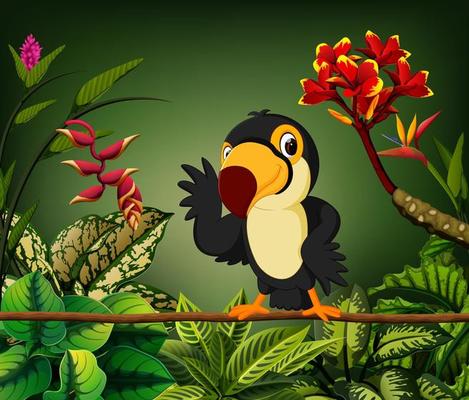 the gentle toucan perch on the stalk with the happy face
