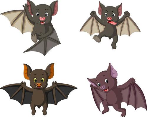 the collection of the bat in the different posing and expression
