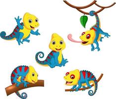 the collection of the chameleon with the fullcolour and different posing vector