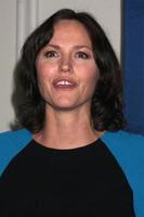 LOS ANGELES, OCT 30 - Jorja Fox at the Oceana s Partners Awards Gala 2013 at Beverly Wilshire Hotel on October 30, 2013 in Beverly Hills, CA photo