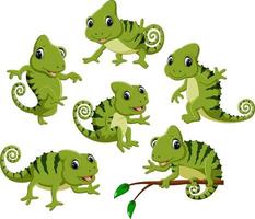 the collection of the green chameleon with different posing vector