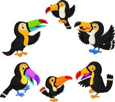 the collection of black toucan with the different posing vector