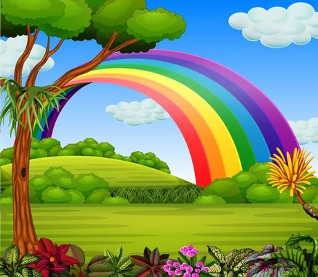 A colorfull rainbow with the garden view