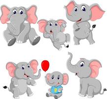 the collection of the elephant and baby elephant vector