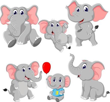the collection of the elephant and baby elephant