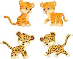 the collection of the tiger and leopard vector
