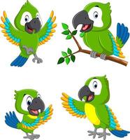 the collection of the green parrots with the different expression vector