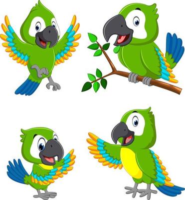 the collection of the green parrots with the different expression