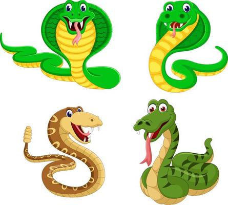 the collection of the big snakes in the different expression
