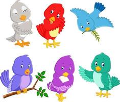 la colección pájaros bonitos con diferentes colores y poses vector