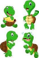 la colección de la tortuga verde con diferentes poses vector