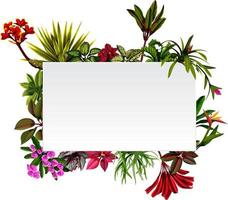 Frame Botanical Nature with the flowers accents vector