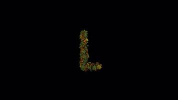 Animated Autumn Leaves Text Typeface Forming And Blown Away L video
