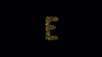 Animated Autumn Leaves Text Typeface Forming And Blown Away E video