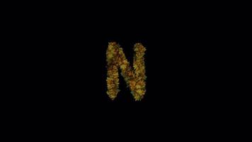 Animated Autumn Leaves Text Typeface Forming And Blown Away N video