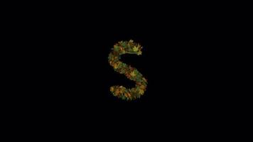 Animated Autumn Leaves Text Typeface Forming And Blown Away S video