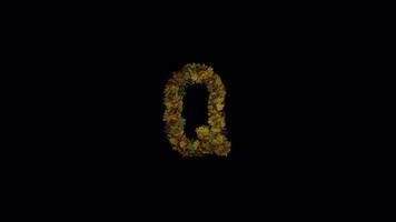 Animated Autumn Leaves Text Typeface Forming And Blown Away Q video