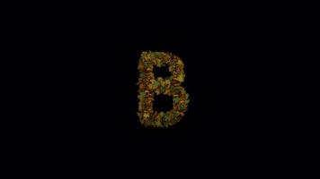 Animated Autumn Leaves Text Typeface Forming And Blown Away B video
