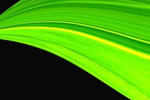 green flow and wave pattern background. photo