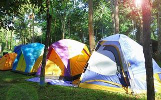 colorful tents in forest for camping photo