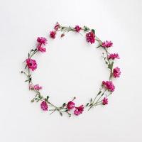 corona de flores de crisantemos rosas sobre fondo blanco, plano, vista superior, espacio de copia foto
