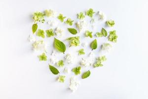 Heart of flowers on white background, flower arrangement of hydrangeas and green leaves, overhead flat lay photo