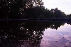 view of the trees from the top of the house with the reflection of the water photo