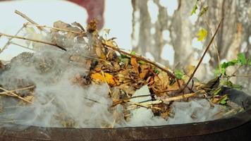 Dry leaves are burned in autumn. Garden cleaning. video