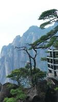 los hermosos paisajes montañosos con el bosque verde y un camino de tablones construido a lo largo de un acantilado en el campo de china foto