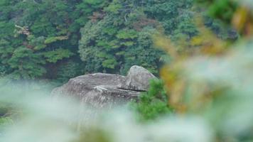 The beautiful mountains landscapes with the green forest and the erupted rock cliff as background in the countryside of the China photo