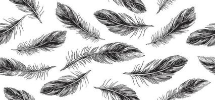 Feathers on white background. Hand drawn sketch style. vector