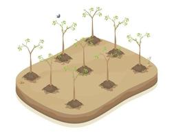 reforestation potential plant a tree green wall of trees environmental conservation isometric factory ecology step vector isolate