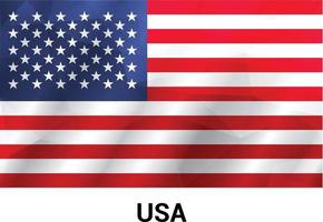 USA flag design vector