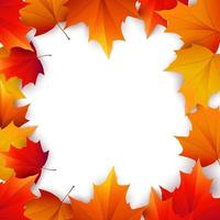 Autumn background with golden maple and oak leaves. Vector paper illustration.