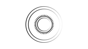 slice of kiwi on a white background. vector illustration. fruit in a cut with seeds. round piece of kiwi, delicious fruit, kiwi with black seeds