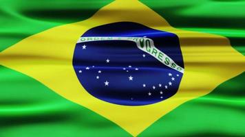 Brazilië golvend vlag animatie video