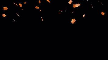 Falling Autumn Leaves 4K Animation Transparent Background Video